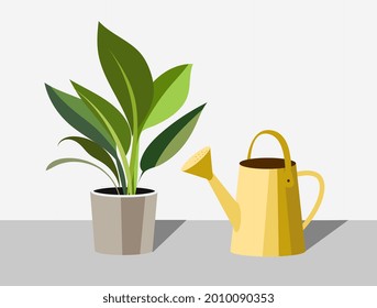 Indoor plant in a pot and a watering can. Illustration in flat style.