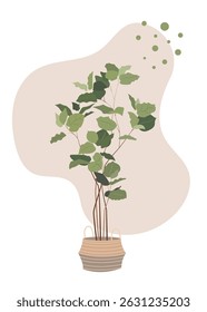  Indoor plant potted flowers isolated on beige background design element vector illustration