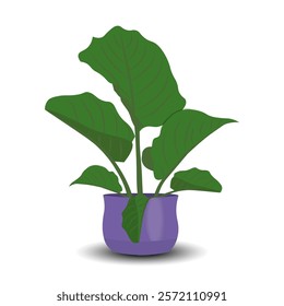 Indoor plant in purple pot for interior decoration on white background. Perfect for home decor, eco-friendly designs, and botanical projects. Vector illustration. Not AI generated