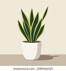 Indoor plant sansevieria in a pot for home, office, premises decor. Illustration vector plant. Trendy home decor with plants, urban jungle.