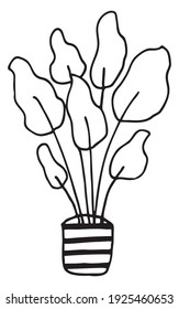 Indoor plant in a striped vase. Hand drawing in Doodle style. Vector EPS 10