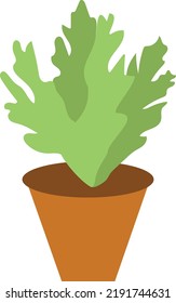 Indoor Plant succulents Concept,  Dry Soil Terra cotta pots vector color icon design, 