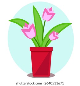 Indoor plant tulip flower in a pot. Isolated on a light background in a flat style