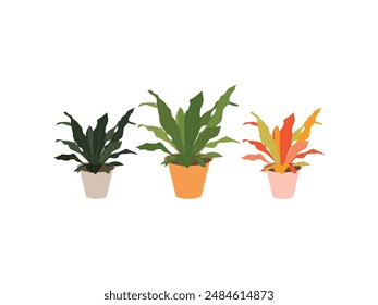 Indoor Plant Vector Art. Natural Decor. Eco Friendly Elegance. Decorative houseplant for interior home or office. Urban Jungle Botanical Bliss. Chic Greenery Illustration. Leafy Abode. Green Serenity.