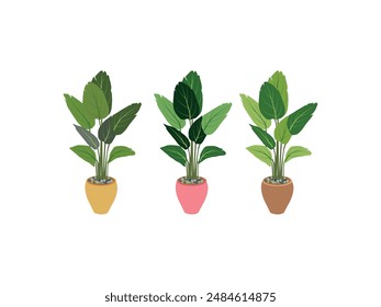 Indoor Plant Vector Art. Natural Decor. Eco Friendly Elegance. Decorative houseplant for interior home or office. Urban Jungle Botanical Bliss. Chic Greenery Illustration. Leafy Abode. Green Serenity.