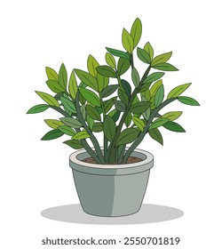 Indoor Plant Vector, Croton plant with pot illustration, green, garden plant vector