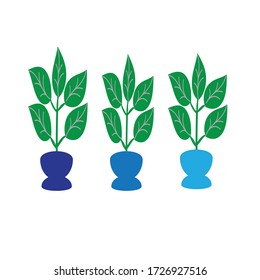 Indoor plants in blue pots of different shades. Interior. Flat design style