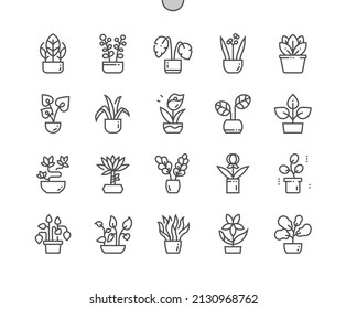 Indoor plants. Botany and flora. Flower pot. Pixel Perfect Vector Thin Line Icons. Simple Minimal Pictogram