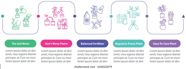 Indoor plants care vector infographic template. Pruning flowers. Gardening tips presentation design elements. Data visualization, five steps. Process timeline chart. Workflow layout with linear icons