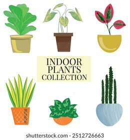 indoor plants collection design vector