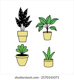 Indoor plants color vector design