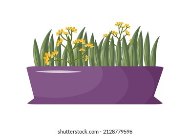 Indoor plants in colorful boho pots. Leafy indoor plants growing in flower pots, vases. Beautiful home interior with decor. Home garden. Flat vector illustration isolated on a white background