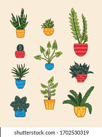 indoor plants in colorful pots vector illustration