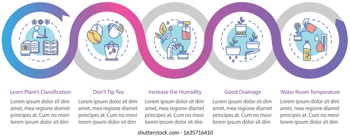 Indoor plants concern vector infographic template. Houseplants care presentation design elements. Data visualization with five steps. Process timeline chart. Workflow layout with linear icons