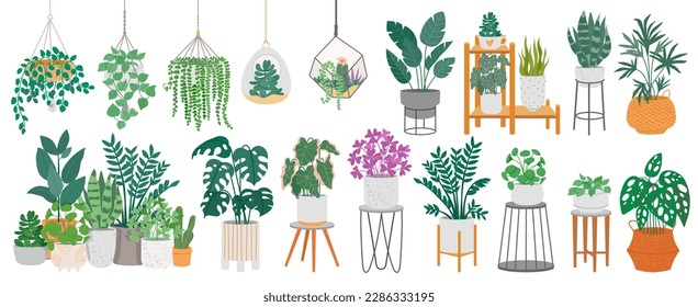 Indoor plants with decorative greenhouse elements. Green plants standing in pots on shelves, hanging in planter, macrame at cozy interior isolated on white background. Vector set. Potted succulents