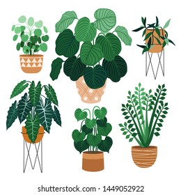 Indoor plants flat color illustrations set. Realistic houseplants in beige pot on metal stands. Exotic flowers with stems and leaves. Ficus, snake plant, sansevieria isolated botanical design element