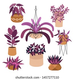 Indoor plants flat color illustrations set. Realistic houseplants in beige pot on metal stands. Exotic flowers with stems and leaves. Ficus, snake plant, sansevieria isolated botanical design element