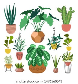 Indoor plants flat color illustrations set. Realistic houseplants in beige pot on metal stands. Exotic flowers with stems and leaves. Ficus, snake plant, sansevieria isolated botanical design element