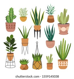 Indoor plants flat color illustrations set. Realistic houseplants in beige pot on metal stands. Exotic flowers with stems and leaves. Ficus, snake plant, sansevieria isolated botanical design element