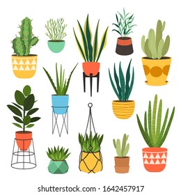 Indoor plants flat color illustrations set. Realistic houseplants in beige pot on metal stands. Exotic flowers with stems and leaves. Ficus, snake plant, sansevieria isolated botanical design element