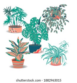 Innenpflanzen flache Farbillustrationen Set.Realistische Hauspflanzen in beigem Topf.Exotische Blumen mit Stielen und Blättern.Dieffenbachia, Cyperus, Monstera, Tradescantia isolierte botanische Gestaltungselemente.