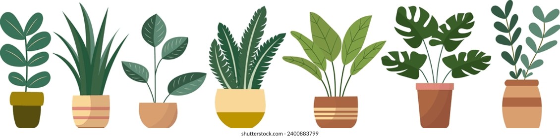 indoor plants in flat style, on white background, vector