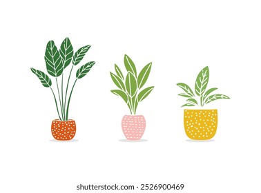 Plantas de interior, conjunto de Vector plano. Plantas de la casa en macetas.