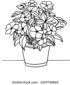 Indoor plants, flower with leaves in a pot coloring page. Hand drawing coloring book for children and adults. Beautiful drawings with patterns and small details. Vector illustration.