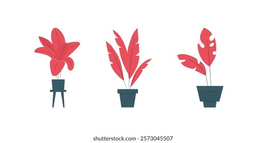 Indoor plants in flower pot, vases, basket for interior isolated on white background. Home greener
Indoor Plants in Flower Pots, Vases, and Baskets for Modern Home Interior Decor