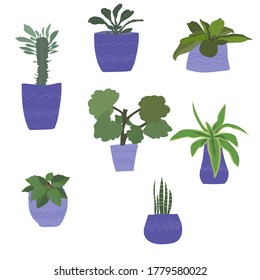 Plantas interiores en macetas de flores. Objetos aislados sobre un fondo blanco. Para la cubierta textil o de libros, papel pintado, diseño, arte, impresión.
