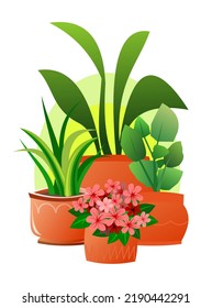 Indoor plants and flowers. In ceramic pots. Still life. Homemade beautiful herbs. Isolated on white background. Cartoon fun style. Vector
