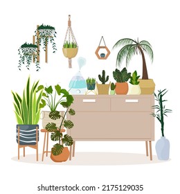 Indoor plants and flowers. Humidifier, diffuser for microclimate, moisture sprayer for home. Vector graphics.