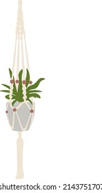 plantas interiores y flores en el interior