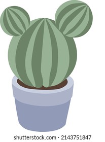 plantas interiores y flores en el interior