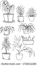 
Indoor plants, flowers in pots. Palm trees, cacti. Hand-drawn doodle sketch. Graphic vector illustration. Set separately on a white background. Vintage, retro style. Print, textile.