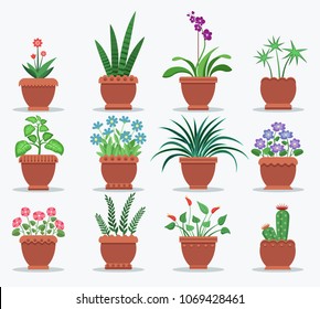 Indoor plants and flowers to refresh interior. Leafy plants and with blossom in big pots. Natural decoration for interior design vector illustrations.