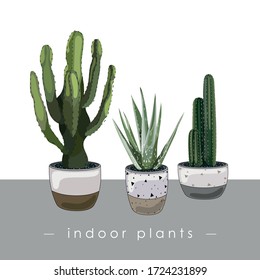 Indoor plants. Green flowers. Cactus and aloe. Design element in the interior. Sticker, banner, poster, print, logo, card. Vector illustration.