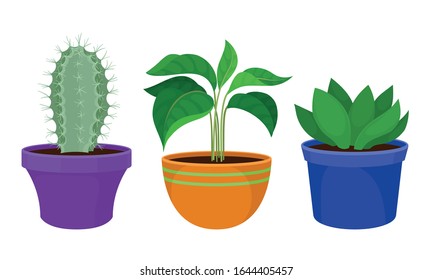 Indoor Plants Growing in Ceramic Pots Vector Set