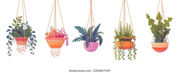 Indoor plants in hanging pots. Cartoon houseplants suspended from macrame, home botanical garden elements, cozy room objects, vector set