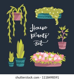 Indoor Plants. House Plants Set. Stock Vector Flat Illustration in a simple cartoon style