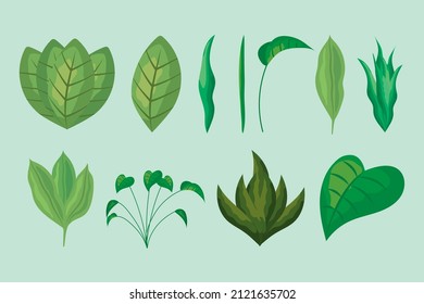indoor plants icon set design