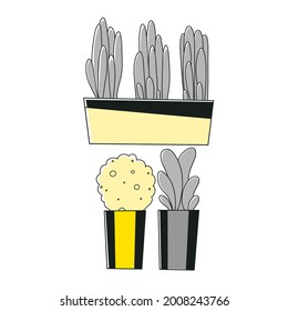Indoor plants icons in linear style. Simple vector illustration. Flat vector illustration.