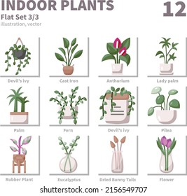Indoor Plants icons set, Flat, vector and illustration set 3