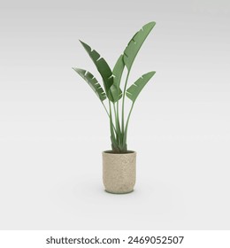 indoor plants for interior decoration rendered on white background