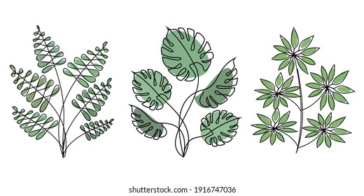 Indoor plants Monstera, Zamioculcas, Schefflera in a modern single line style. Continuous line drawing, aesthetic outline for home decor, posters, wall art, stickers. Floral logo vector illustration.