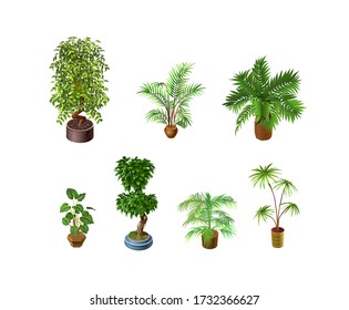 Indoor plants on a light background for interior design in isometric. Vector illustration