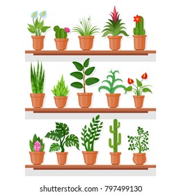 Indoor plants on shelf. Indoor plant garden display at house or apartment, office eco decor. Vector flat style cartoon plants illustration isolated on white background