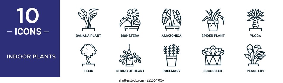 Indoor Plants Outline Icon Set Includes Thin Line Banana Plant, Monstera, Amazonica, Spider Plant, Yucca, Ficus, String Of Heart Icons For Report, Presentation, Diagram, Web Design