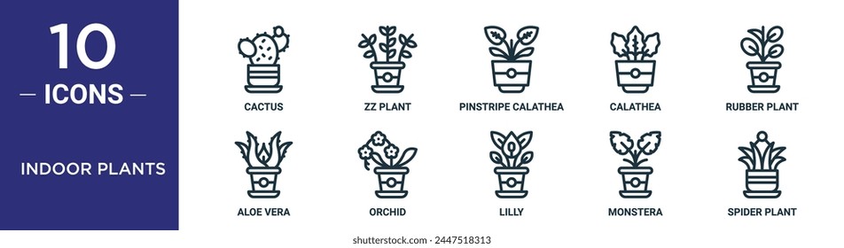 indoor plants outline icon set includes thin line cactus, zz plant, pinstripe calathea, calathea, rubber plant, aloe vera, orchid icons for report, presentation, diagram, web design