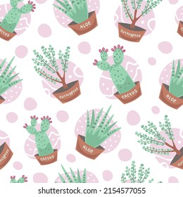 Innenpflanzenmuster. Hauspflanzenkaktus, Aloe Vera, Eukalyptus in Töpfen, nahtlose Vektorgrafik auf süßem abstraktem Hintergrund